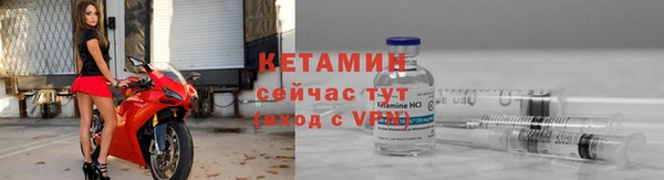 шишки Аша