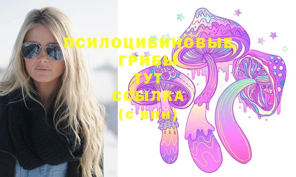 мяу мяу мука Майский