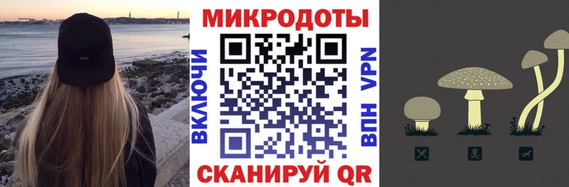 закладки  Тында  Псилоцибиновые грибы Psilocybe 