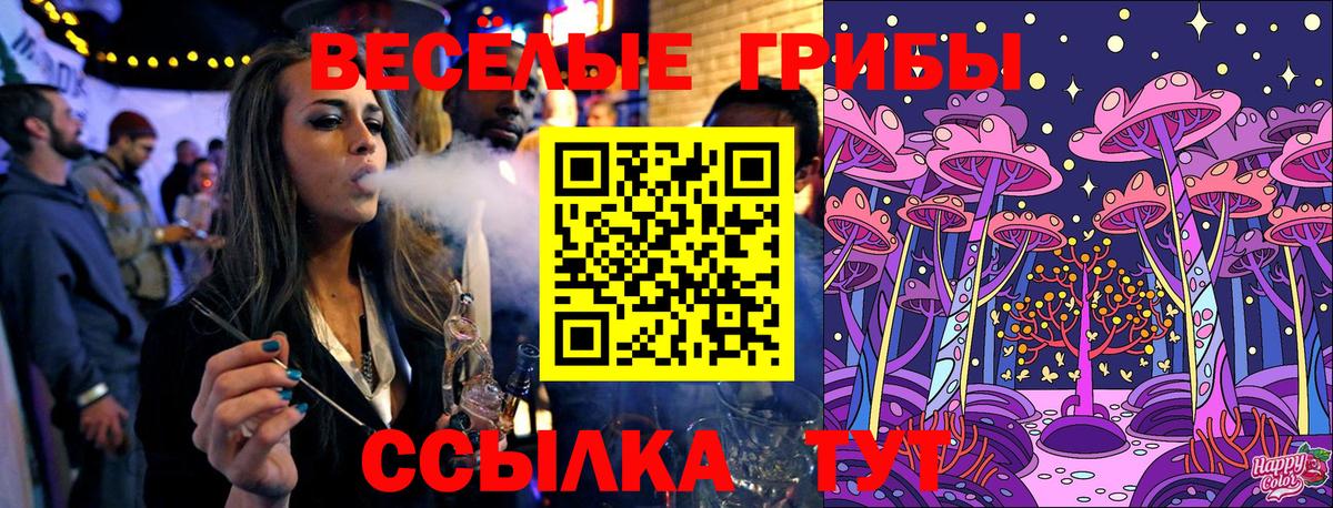 Галлюциногенные грибы Cubensis Тында