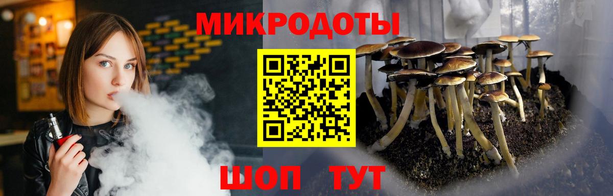 Псилоцибиновые грибы GOLDEN TEACHER  Тында 